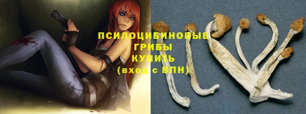 прущие крисы Алексин
