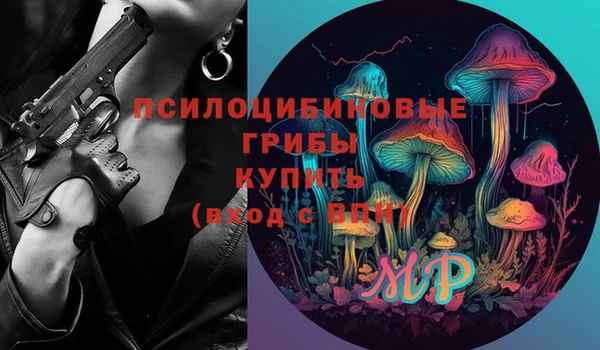 стафф Алексеевка