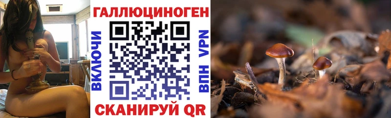 mega ссылки Северодвинск Галлюциногенные грибы мухоморы