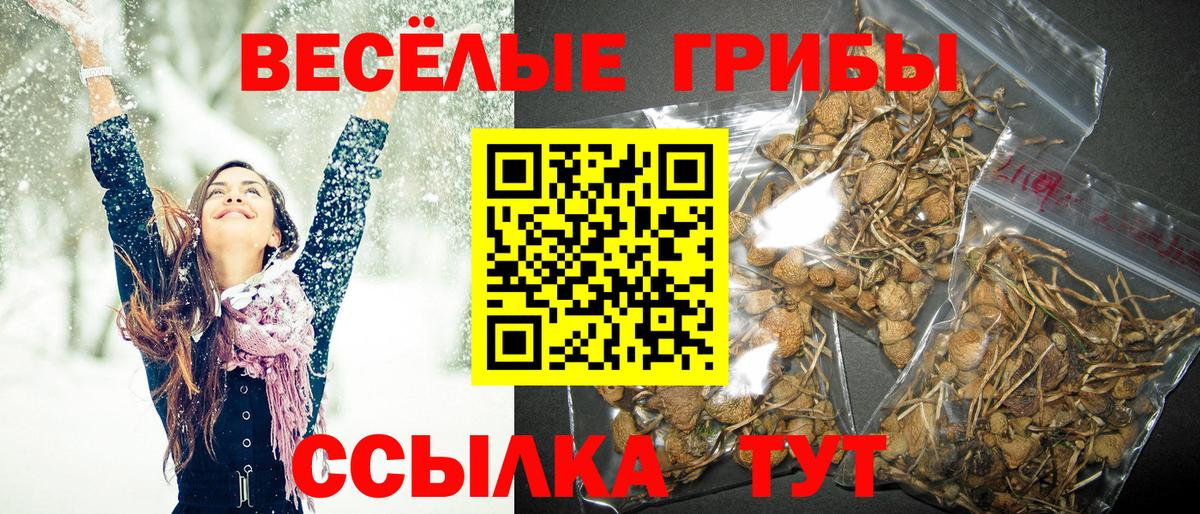 Псилоцибиновые грибы Magic Shrooms  Вход с VPN  купить наркотик  Северодвинск 