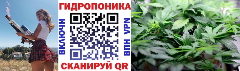 Конопля марихуана мега онион Северодвинск магазин